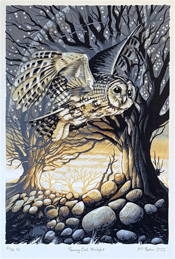 21/25 Tawny Owl Twilight, Limited Edition, Handmade Linocut Print - Etsy UK