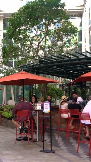 Top 5 Cruise Tips for a Memorable Experience