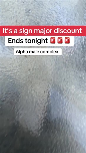 Understanding the Alpha Male Complex in Today's Society