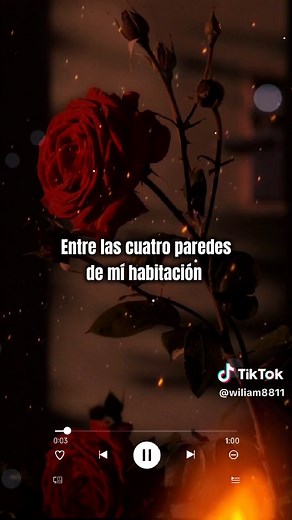 Thalía #thalia #thalianomeenseñaste #temasdethalia #lentos #delrecuerdo #friassantiagodelestero #quiroscatamarca #estadosparawhatsapp #VideosParaEstados #letrasdecanciones🎧🎶