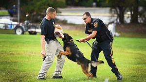New bullet-proof vests for Passaic County police dogs