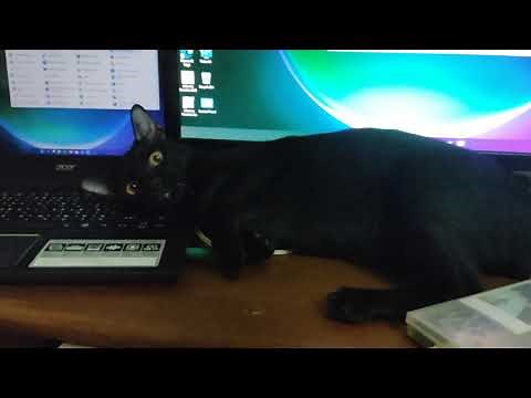 windows11 แก้ภาษาต่างดาวในโปรแกรม extreme karaoke by chonkai