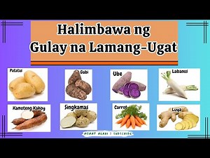 Halimbawa ng mga Gulay, Lamang Ugat, Health Benefits Mommy Merai
