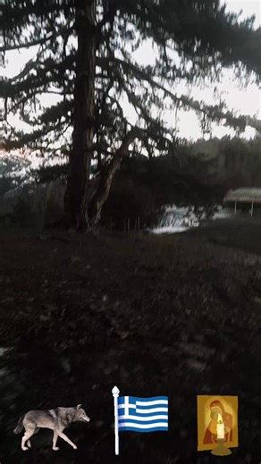 το μερος μιλαει απο μονο του αναψαμε τα καντηλια του προφητη ηλια με κινδυνο να κολλησω στη λασπη κ το χιονι αλλα ο παναγαθος ηθελε να φτασω ποιο κατω ειναι ο προφητης ελισσαιος τις πρεσβειες των αγιων προφητων να εχετε ολοι 🐺☦️🇬🇷