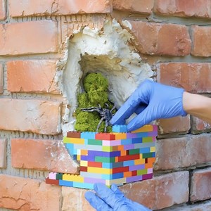 5.8M views · 14K reactions | Fixing damaged walls to perfection | Wood Mood | Facebook