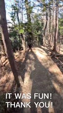 2026年-弓立山427m低山〜頂上の見晴らし最高!!!#shorts. #弓立山 埼玉県比企郡ときがわ町