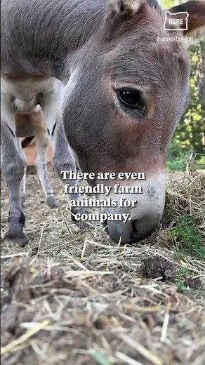 Lee Farms gives a taste of country life just outside Portland