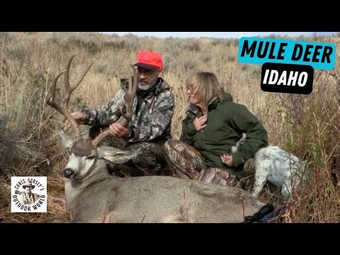 Hunting Big Free Range Muleys on a New Idaho Ranch