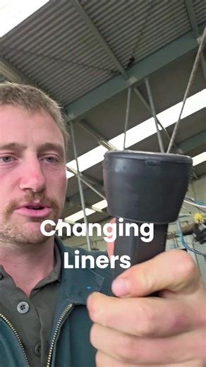 Replacing Milking Liners for Dairy Cows