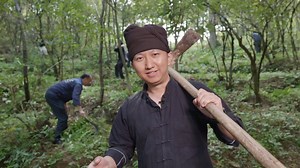 【Home from Home EP19: Be a farmer for one day】Have you ever tasted honey (蜂蜜 fēngmì) straight from a dripping honeycomb? Do you want to know how a rootless and leafless herb (草药 cǎoyào) can thrive underground and bring wealth to a remote village? Is there a secret in brewing the most intoxicating homemade rice wine (米酒 mǐjiǔ)? Join #HomefromHome to live the life of a farmer for a day. Laiming Luo | Learn Chinese