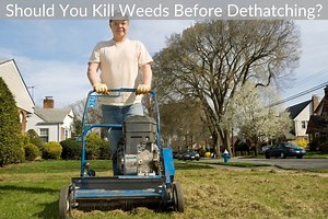 Should You Kill Weeds Before Dethatching? - Just Yardz