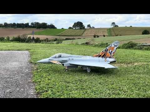 New Freewing Eurofighter BigBoy Conversion Kit X45