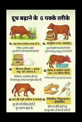 दूध बढ़ाने के 6 पक्के तरीके #theshivkumar-b2k youtube channel subscribe kare all plz subcribe