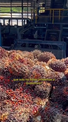¿De quiénes se rodea Carlos Pineda? ¿Qué puede implicar esto para el país? Compartimos esta información para contribuir a ejercer un voto crítico. ¡Cuidémonos Guatemala! | JusticiaYa