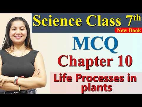 MCQ - Chapter 10 Part 10 - Life Processes in plants - Science Curiosity Class 7th NCERT CBSE