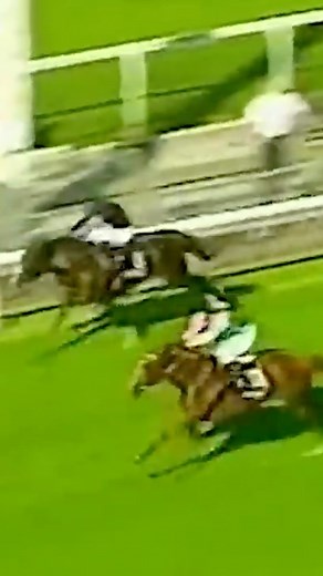 🕰️ Historic race replay: the 2000 Queen Elizabeth II stakes, whereby Observatory bested Giant’s Causeway! | World Horse Racing