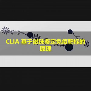 CLIA基于磁珠鉴定免疫靶标的原理