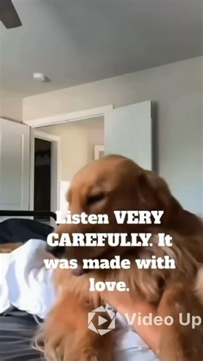 Tucker would like to preform to you the Waltz: (re-upload) ft. Tucker