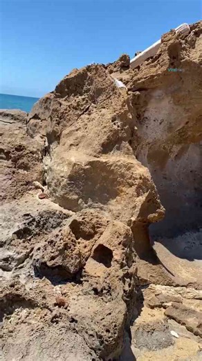 Rescue team saves injured loggerhead sea turtle just in time