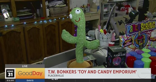 T.W. Bonkers 'Toy and Candy Emporium' has everything you're looking for!
