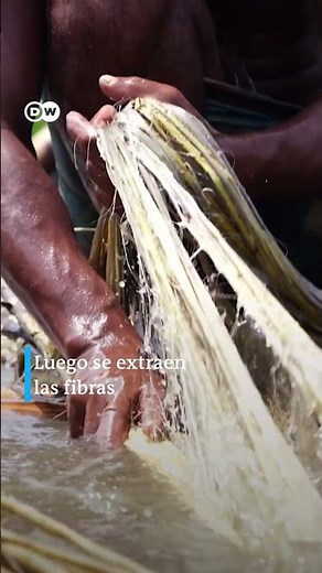 Yute: alternativa al plástico