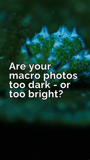 📸 Using TTL (or RC) mode on your strobes and your photos keep overexposing or underexposing? It's not broken — your camera's just not set up quite correctly... But first - what is TTL? TTL is short for Through The Lense. When you use TTL, your camera fires a very short burst of light before it fires your strobes properly. That burst of light bounces off your subject and back into the camera and tells your camera how much light the strobes need to fire to get the perfect exposure. When your came