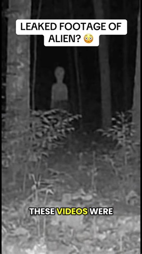 Leaked footage of aliens/UFOS? #uap #aliens #ufos #paranormal #spooky | alien