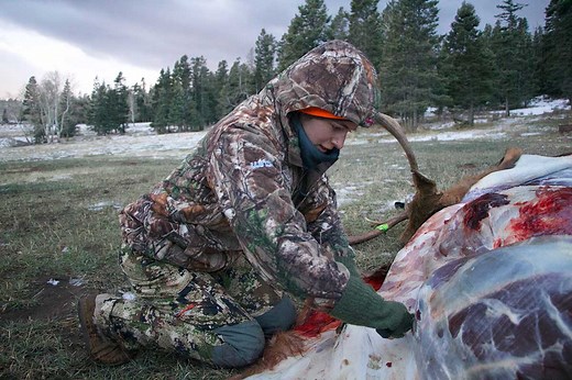 How to Keep Elk Meat From Spoiling