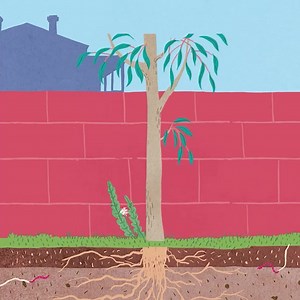 2K views · 20 reactions | We’re so excited to announce that 'A Family...