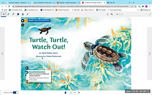 Turtle Turtle Watch Out