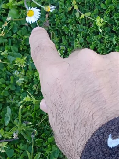 Από τα όμορφα, χαρούμενα, και αισιόδοξα της ημέρας. (Όπως παλιά). Οι φωτογραφίες (1&2) προς το μάθημα Βυζαντινής Εκκλησιαστικής Μουσικής. Στην πλατεία παραποτάμιως δίπλα από το Μουσείο Τσιτσάνη. Πέμπτη 12/3/2026. - Tsakalof 13 Trikala.