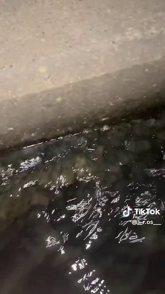 家出の理由と9月1日の出来事