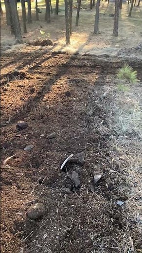 Clearing Land Using Landscape Rake