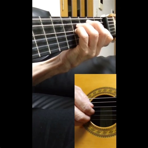アドロ（ADORO）Part1/cover/フランク・プウルセル 随分前にドラマに使われていた切ない綺麗な曲を二重奏にしてみました。メロディーは耳コピで練習、アレンジ自己流です。capo2（Em）