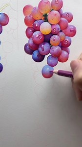 Title: A Juicy Cluster – Realistic Colored Pencil Grapes This stunning colored pencil drawing captures the rich hues and lifelike translucency of grapes with remarkable precision. The layering of purples, pinks, and warm golden tones creates depth, making each grape appear plump and almost touchable. The artist’s mastery of light and reflection adds to the realism, turning a simple subject into a mesmerizing study of form and texture. Drawing by Unknown Artist #coloredpencilsart #sketcheveryday 