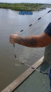 1.8K views · 809 reactions | That's some 40/50s with the cast net. That's the best size shrimp to cook with. #shrimplovers #shrimping #shrimp #castnet #CastNetFishing | Lance Billiot | Facebook