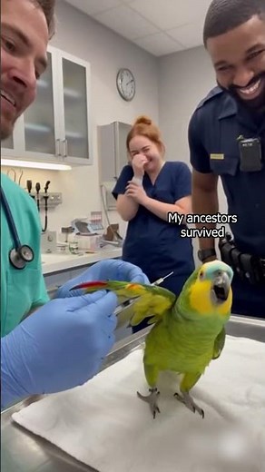 Parrot Flips Out Before the Needle Touch