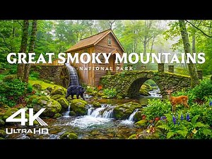 Great Smoky Mountains 4K – Black Bears, Waterfalls & Appalachian Wilderness