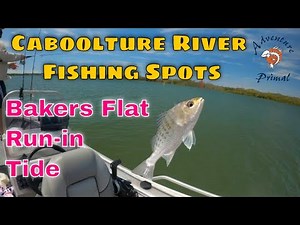Caboolture River Fishing Spots: Bakers Flat Run-in Tide