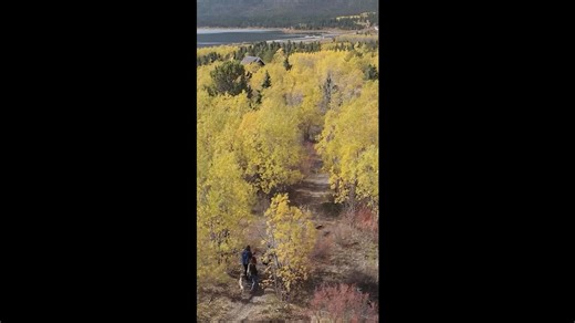 Chasing Fall Colors and Northern Lights in the Yukon, Canada
