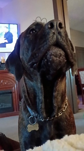 Somebody is very chatty this morning... Lol | Lynn Anderson