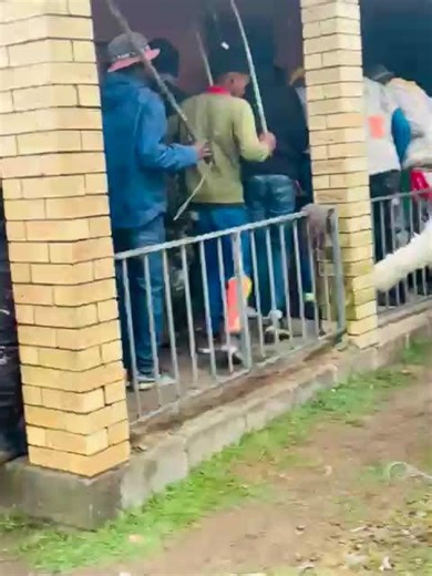 Sifuna amagumba #amakhwenkwe #music #gwijo #culture #amagumba #dance