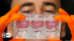 An alternative to animal testing