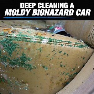 305K views · 4.2K reactions | This mold covered seat got the deep clean it's needed and it's so satisfying to watch | Supercar Blondie | Facebook