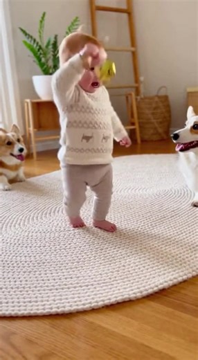 Baby Dances to Jingle Bell, Corgi Copies the Dance 😂🎄 #babydance #corgi #ChristmasFundraising | Baby & Paws Studio