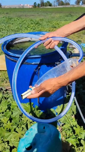 garden pipe water bottle pump tricks #short #yt #diy