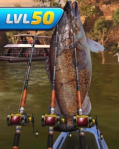 Prove your angling skills in the amazing mobile fishing game   | Fishing Clash | Facebook
