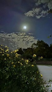 This quiet night... 💛 Perfect for getting lost in your thoughts. Thinking about the good, the bad, the beautiful, and the regrets. It's all part of the journey. #quietnight #latenightthoughts #healing #peaceful #moonlight #contemplation #life #journey #reels #viral #trending #explore #explorepage | Thenightscenery