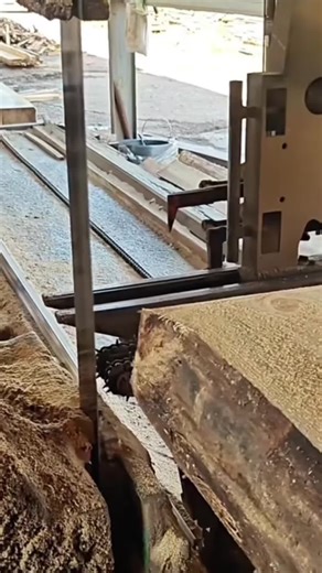 Unexpected Love: A Reddit Story of Reunion