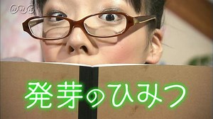 発芽のひみつ | ふしぎがいっぱい （5年） | NHK for School